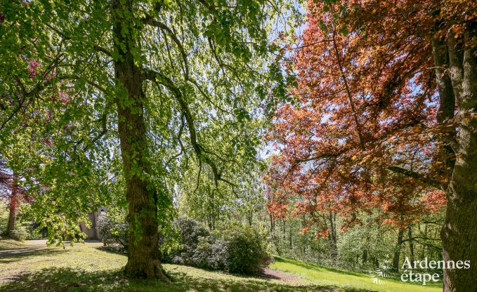 Schloss Stavelot 8 Pers. Ardennen Schwimmbad Wellness