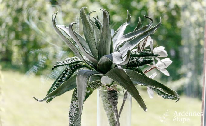 Schloss Stavelot 8 Pers. Ardennen Schwimmbad Wellness