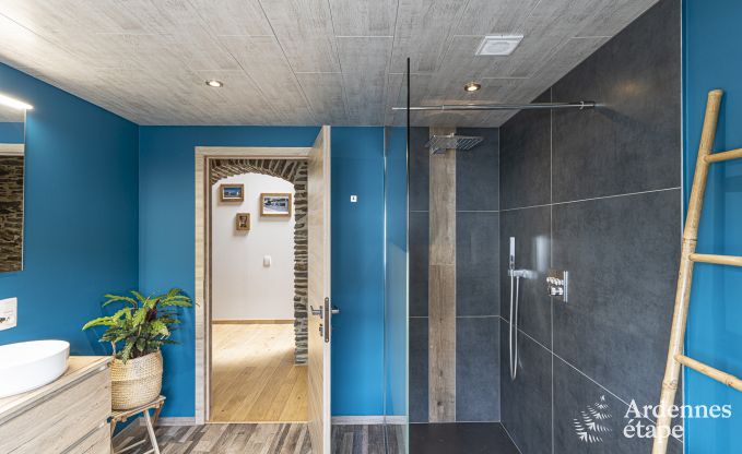 Ferienhaus Sterpigny 10/12 Pers. Ardennen Wellness