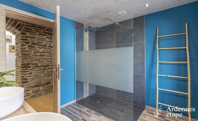 Ferienhaus Sterpigny 10/12 Pers. Ardennen Wellness