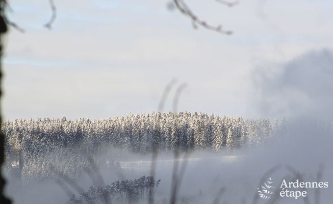 Ferienhaus Stoumont 2/4 Pers. Ardennen