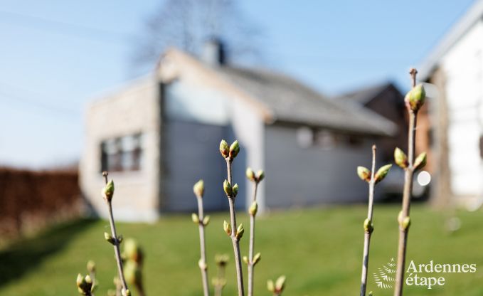 Ferienhaus Stoumont 2 Pers. Ardennen