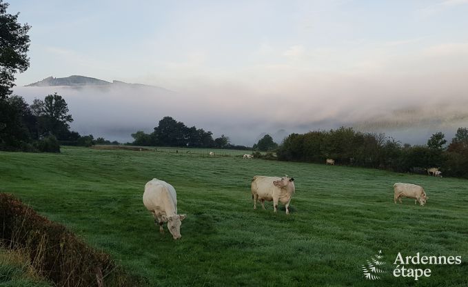 Ferienhaus Stoumont 11 Pers. Ardennen Wellness