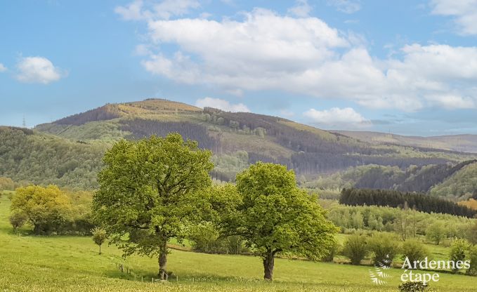 Ferienhaus Stoumont 11 Pers. Ardennen Wellness