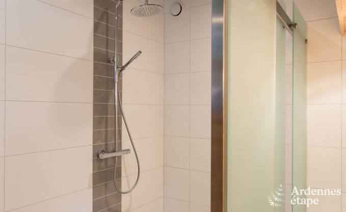 Ferienhaus Stoumont 9 Pers. Ardennen Schwimmbad Wellness