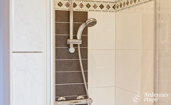 Ferienhaus Stoumont 9 Pers. Ardennen Schwimmbad Wellness