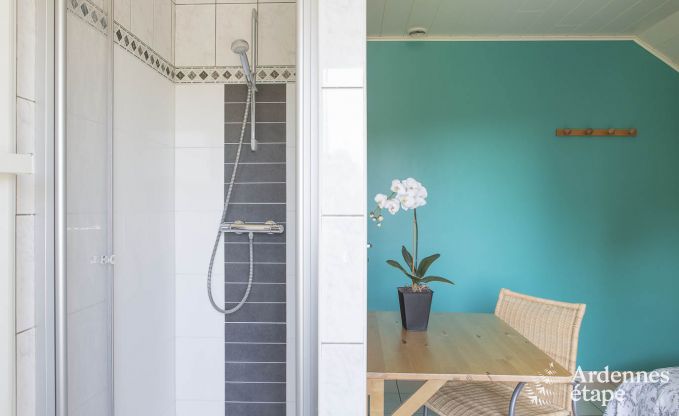 Ferienhaus Stoumont 9 Pers. Ardennen Schwimmbad Wellness