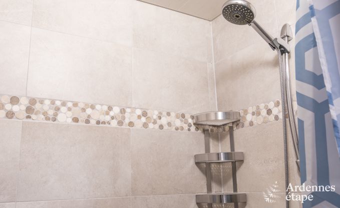 Ferienhaus Stoumont 12 Pers. Ardennen Schwimmbad Wellness