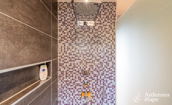 Ferienhaus Stoumont 11 Pers. Ardennen Schwimmbad Wellness