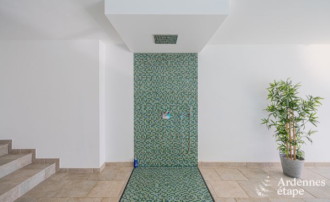 Ferienhaus Stoumont 11 Pers. Ardennen Schwimmbad Wellness