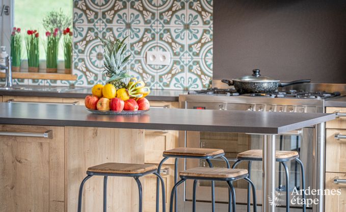 Ferienhaus Stoumont 11 Pers. Ardennen Schwimmbad Wellness