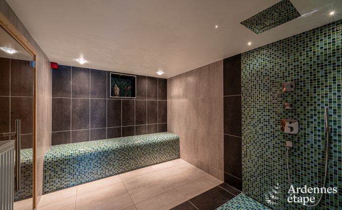 Ferienhaus Stoumont 11 Pers. Ardennen Schwimmbad Wellness