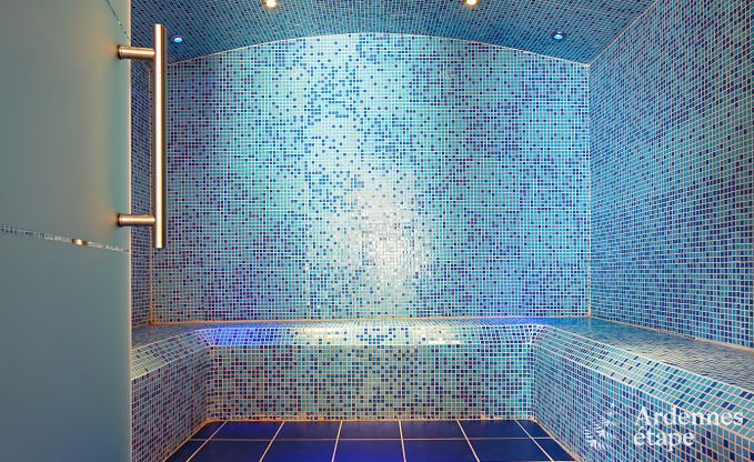 Luxusvilla Stoumont 24 Pers. Ardennen Schwimmbad Wellness