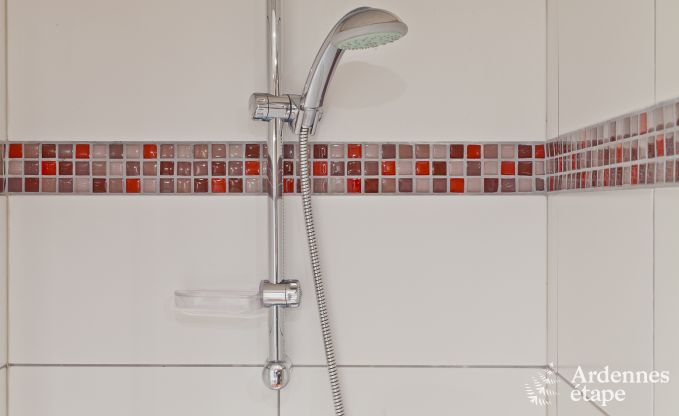 Luxusvilla Stoumont 30 Pers. Ardennen Schwimmbad Wellness