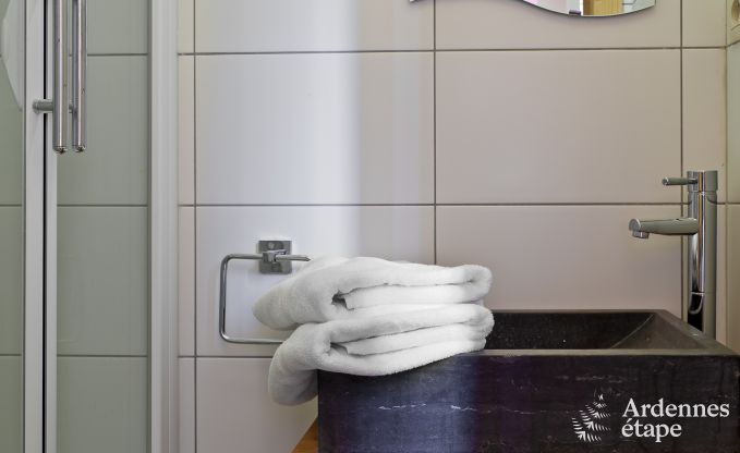 Luxusvilla Stoumont 30 Pers. Ardennen Schwimmbad Wellness