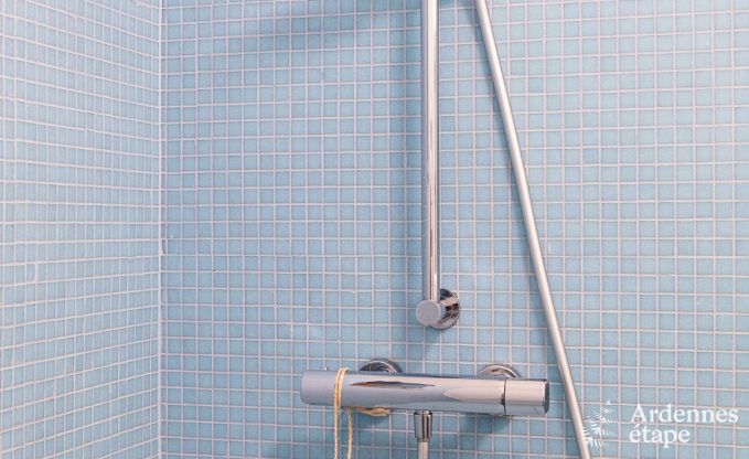 Luxusvilla Stoumont 10/14 Pers. Ardennen Schwimmbad Behinderten gerecht