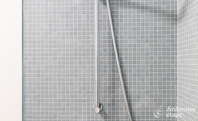 Luxusvilla Stoumont 10/14 Pers. Ardennen Schwimmbad Behinderten gerecht