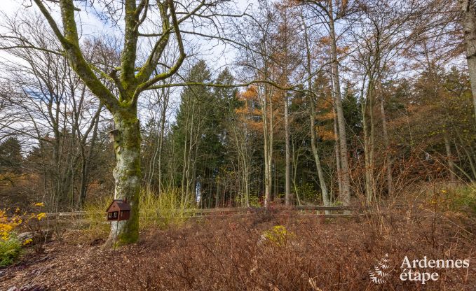 Ferienhaus Stoumont 7 Pers. Ardennen