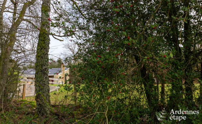 Ferienhaus Stoumont 7 Pers. Ardennen