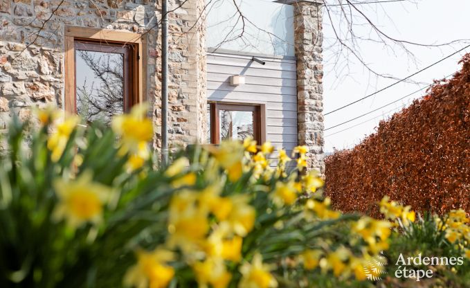 Ferienhaus Stoumont 2 Pers. Ardennen