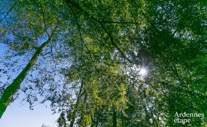 Mietung Haus 6 Personen in Stoumont, Ardennen, 3 Schlafzimmer, privater Garten, Terrasse mit Grill, optimaler Komfort