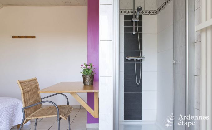 Ferienhaus Stoumont 9 Pers. Ardennen Schwimmbad Wellness