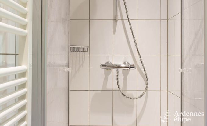 Ferienhaus Stoumont 9 Pers. Ardennen Schwimmbad Wellness