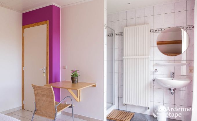 Ferienhaus Stoumont 9 Pers. Ardennen Schwimmbad Wellness