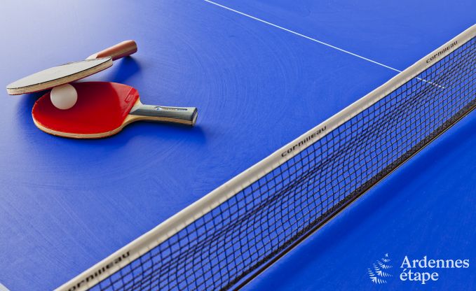 Ferienhaus Stoumont 9 Pers. Ardennen Schwimmbad Wellness