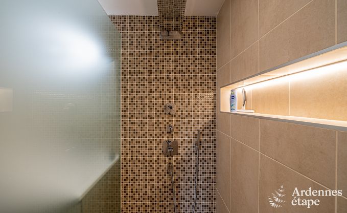 Ferienhaus Stoumont 11 Pers. Ardennen Schwimmbad Wellness