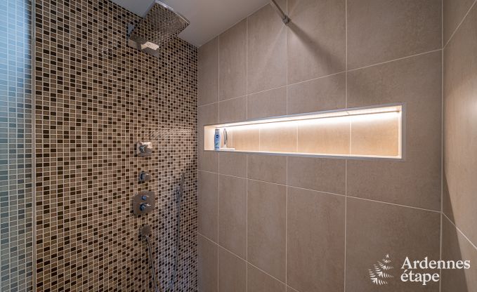 Ferienhaus Stoumont 11 Pers. Ardennen Schwimmbad Wellness