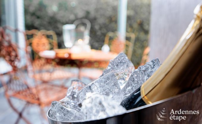 au�ergew�hnliche Ferienwohnung Tellin 2/3 Pers. Ardennen Wellness