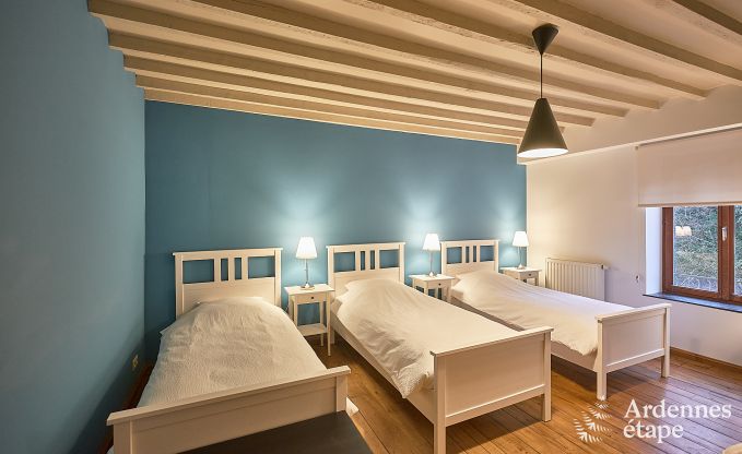 Luxusvilla Tellin 24 Pers. Ardennen Schwimmbad Wellness