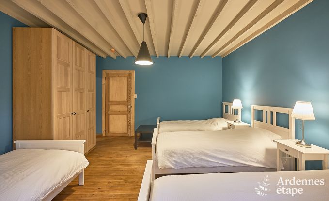 Luxusvilla Tellin 24 Pers. Ardennen Schwimmbad Wellness