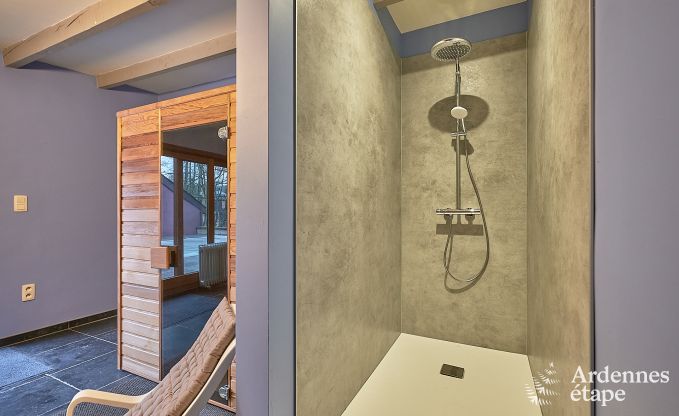 Luxusvilla Tellin 24 Pers. Ardennen Schwimmbad Wellness