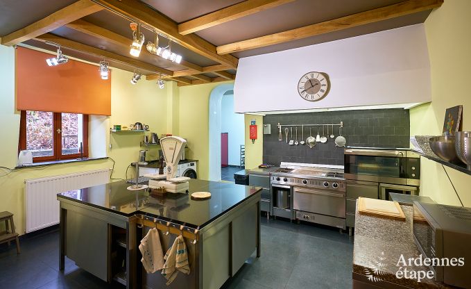 Luxusvilla Tellin 24 Pers. Ardennen Schwimmbad Wellness