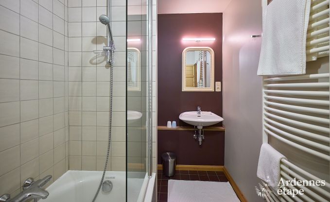 Luxusvilla Tellin 24 Pers. Ardennen Schwimmbad Wellness