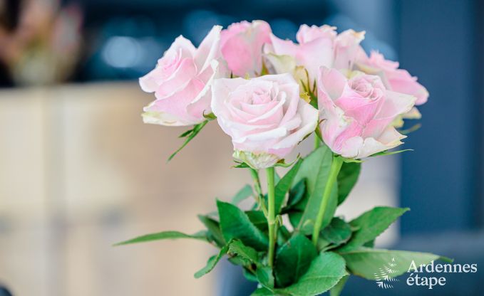 au�ergew�hnliche Ferienwohnung Tellin 2/3 Pers. Ardennen Wellness