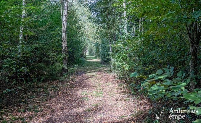 Gemtliches Chalet in Tenneville fr 4 Personen/3 Erwachsene mit 2 Schlafzimmern, Spielzimmer, Babyecke und Panoramablick