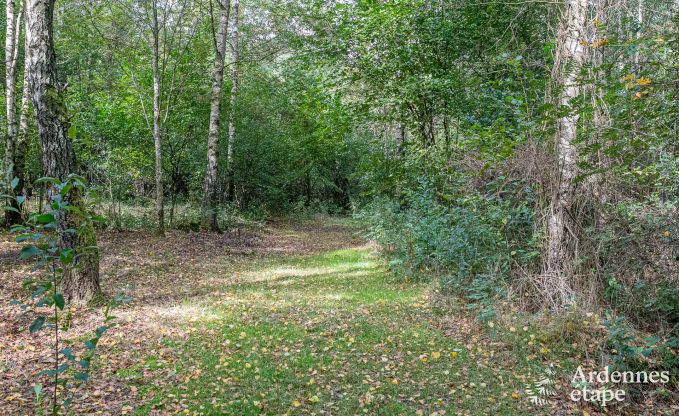 Gemtliches Chalet in Tenneville fr 4 Personen/3 Erwachsene mit 2 Schlafzimmern, Spielzimmer, Babyecke und Panoramablick