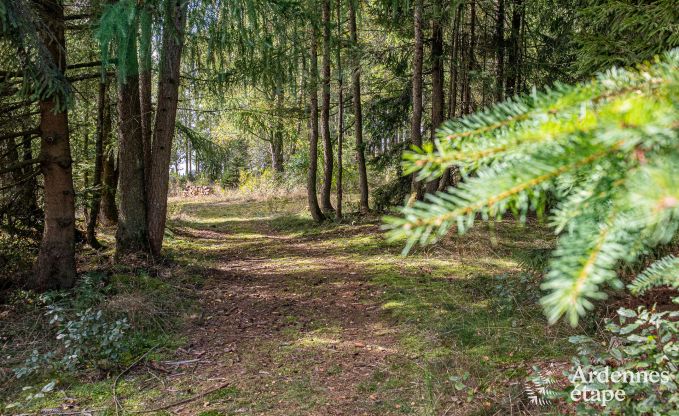 Gemtliches Chalet in Tenneville fr 4 Personen/3 Erwachsene mit 2 Schlafzimmern, Spielzimmer, Babyecke und Panoramablick