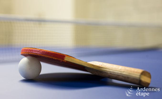Ferienhaus Tenneville 9 Pers. Ardennen