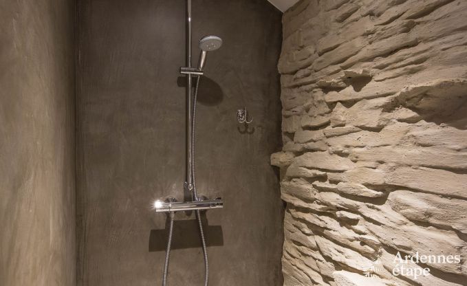 Ferienhaus Tenneville 13 Pers. Ardennen Wellness