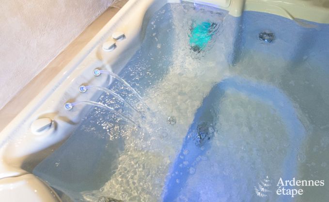 Ferienhaus Tenneville 13 Pers. Ardennen Wellness