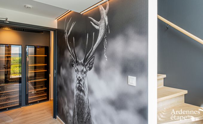 Ferienhaus Tenneville 10 Pers. Ardennen Schwimmbad Wellness