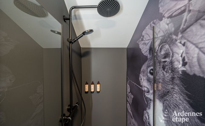 Ferienhaus Tenneville 10 Pers. Ardennen Schwimmbad Wellness