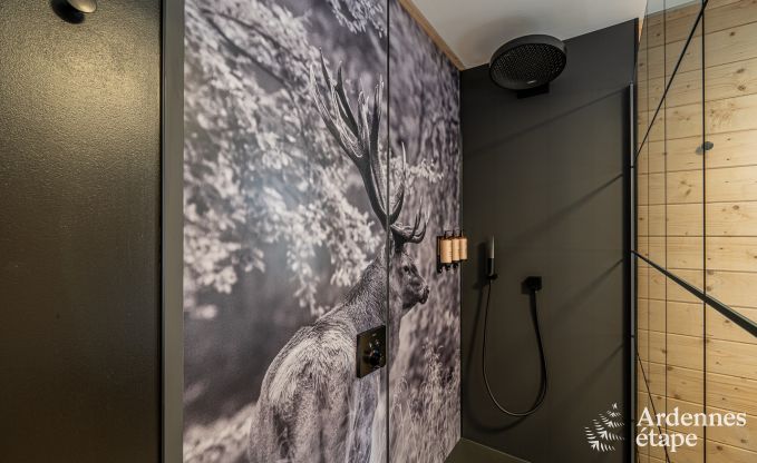 Ferienhaus Tenneville 10 Pers. Ardennen Schwimmbad Wellness