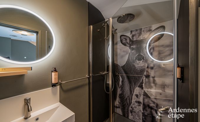 Ferienhaus Tenneville 10 Pers. Ardennen Schwimmbad Wellness