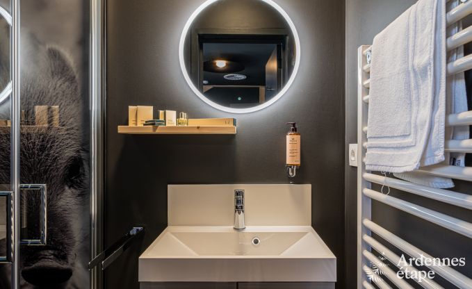 Ferienhaus Tenneville 10 Pers. Ardennen Schwimmbad Wellness