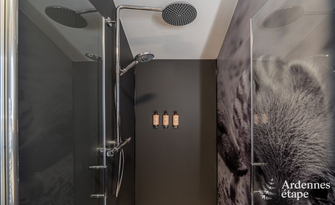 Ferienhaus Tenneville 10 Pers. Ardennen Schwimmbad Wellness